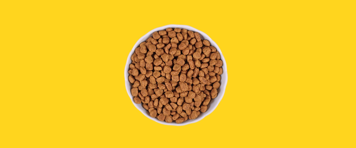 Photo of hunger tail kibble in a bowl with yellow background