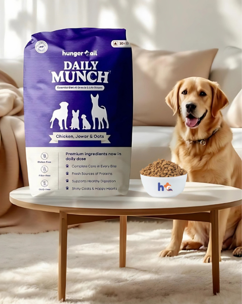 Golden Retriever sitting beside a Hunger Tail Daily Munch 20kg dog food pack and a filled kibble bowl, showcasing premium dog food with chicken, jowar, and oats for all breeds and life stages.