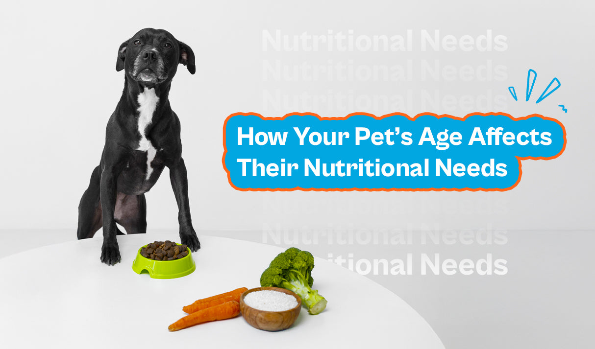 How Your Pet’s Age Affects Their Nutritional Needs