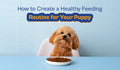How to Create a Healthy Feeding Routine for Your Puppy