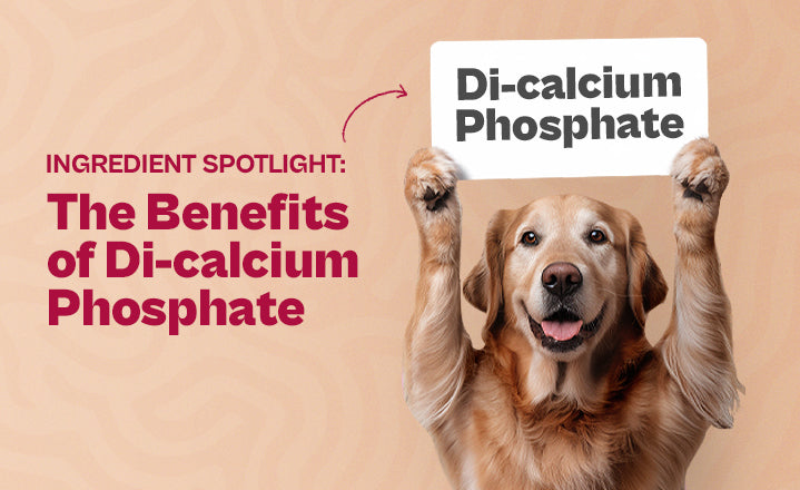 Ingredient Spotlight: The Benefits of Di-calcium Phosphate in Dog Food