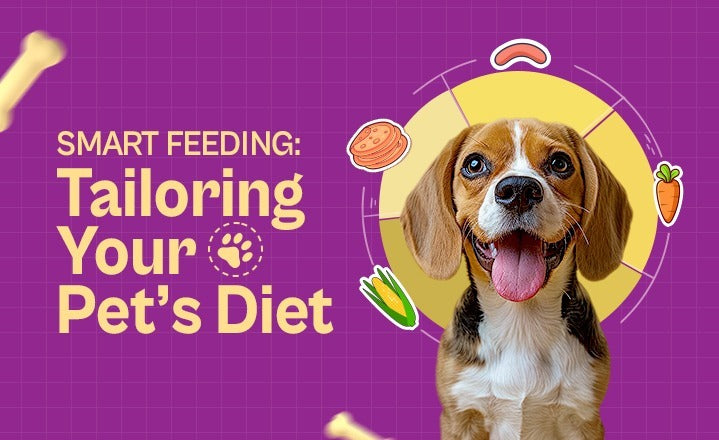 Smart Feeding: Tailoring Your Pet’s Diet for Balanced Nutrition