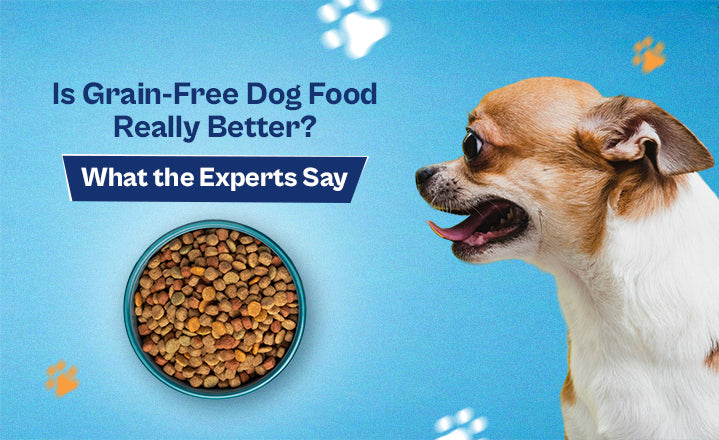 Is Grain-Free Dog Food Really Better? What the Experts Say