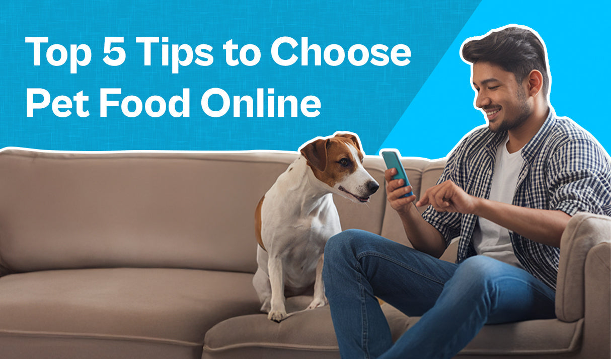 Top 5 Tips to Choose Pet Food Online