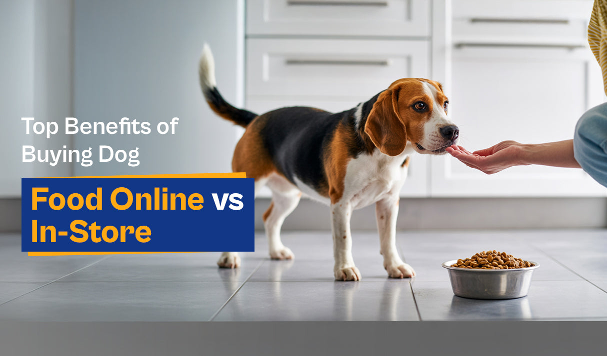 Top Benefits of Buying Dog Food Online vs. In-Store