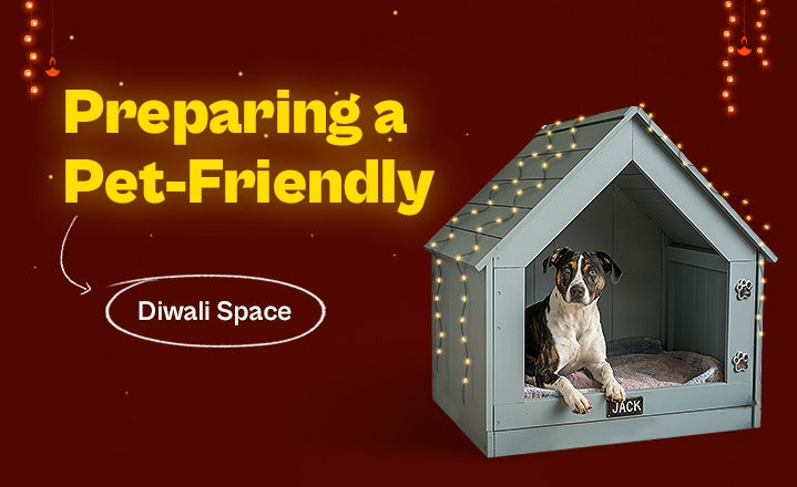 Preparing a Pet-Friendly Diwali Space: Cozy Hideouts and Comfort Corners