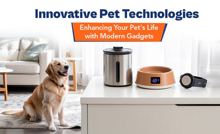 Innovative Pet Technologies: Enhancing Your Pet's Life with Modern Gadgets