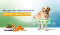 Why High-Fiber Food Is Essential for Your Pet’s Digestive Health