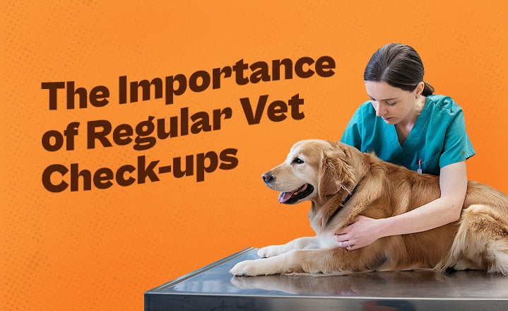 The Importance of Regular Vet Check-ups for Your Pet's Health