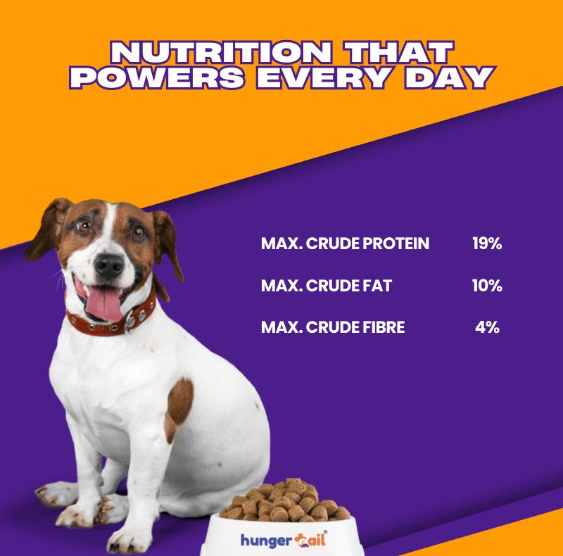 Daily Munch – Essential Nutrition for All Breeds & Life Stages