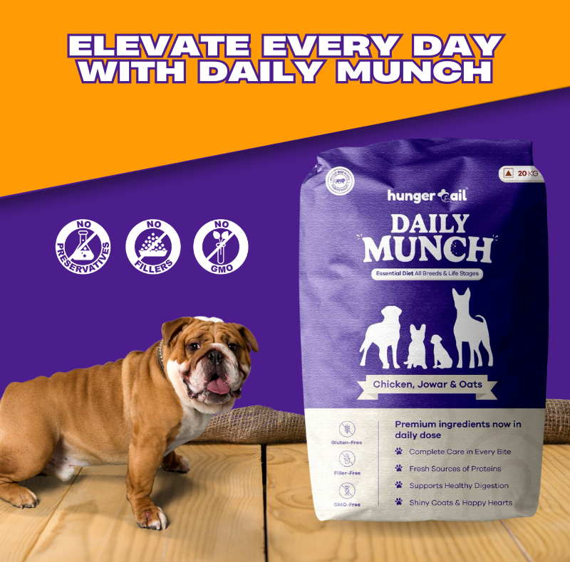 Daily Munch – Essential Nutrition for All Breeds & Life Stages