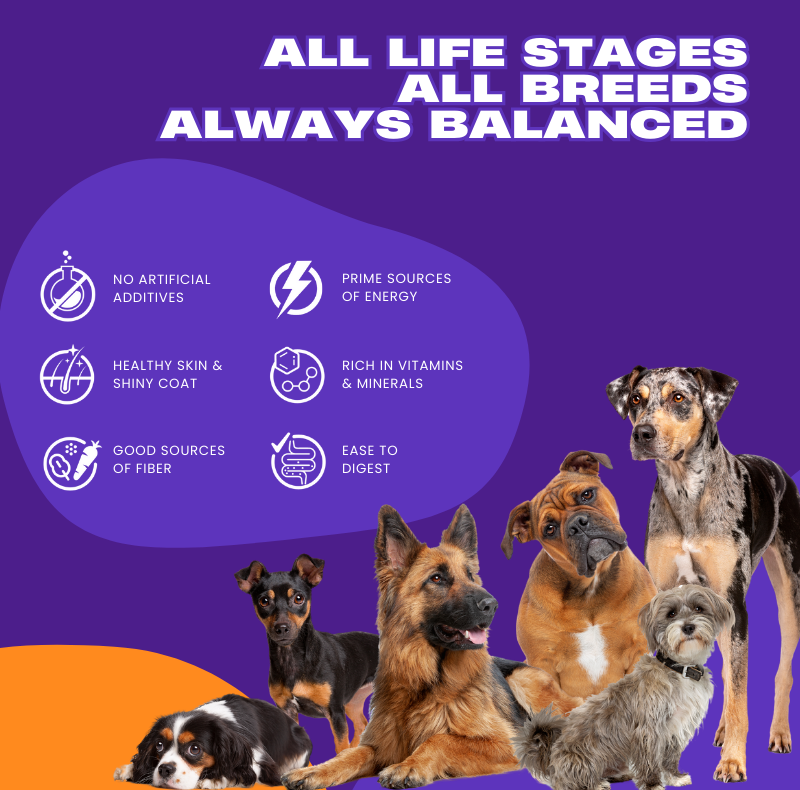 Daily Munch – Essential Nutrition for All Breeds & Life Stages