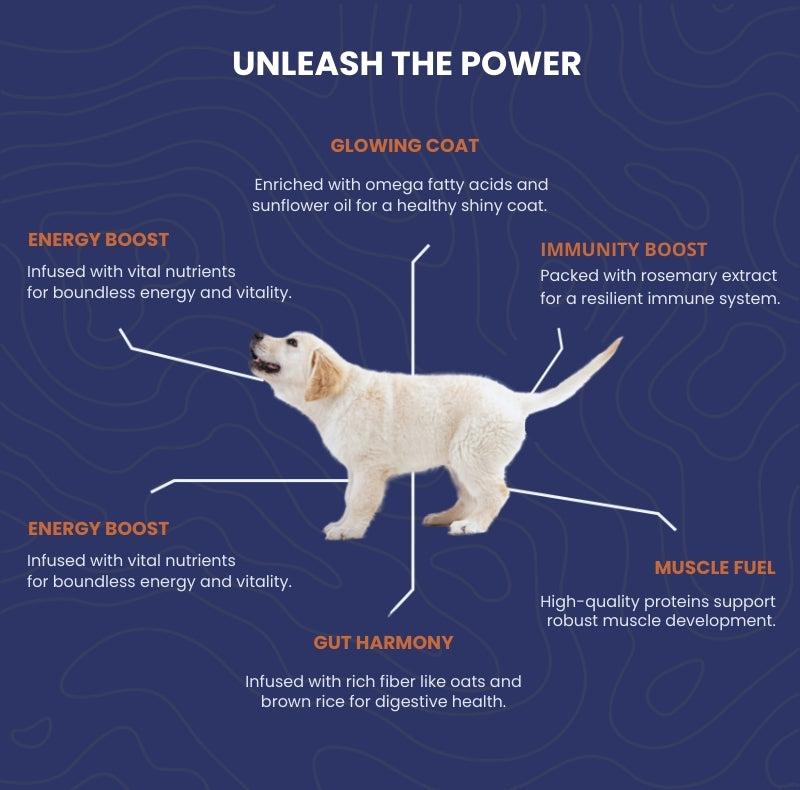 Puppy Power – Chicken & Oats