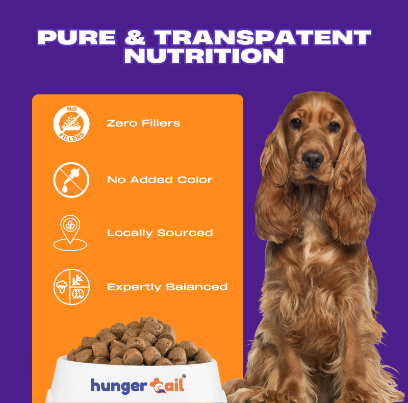 Daily Munch – Essential Nutrition for All Breeds & Life Stages