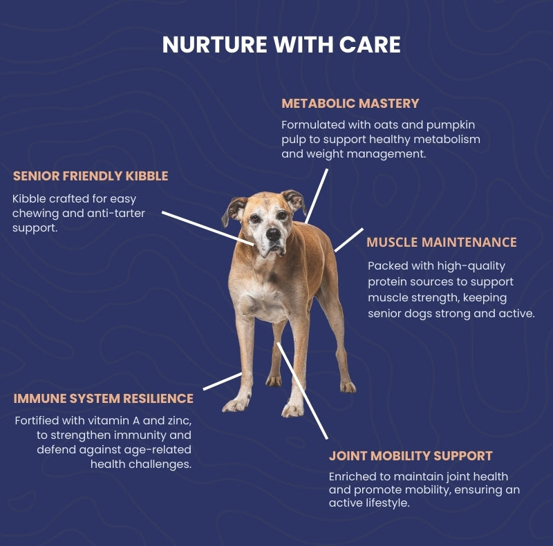 Senior Supreme – Chicken Pumpkin – Hunger tail - Main Image